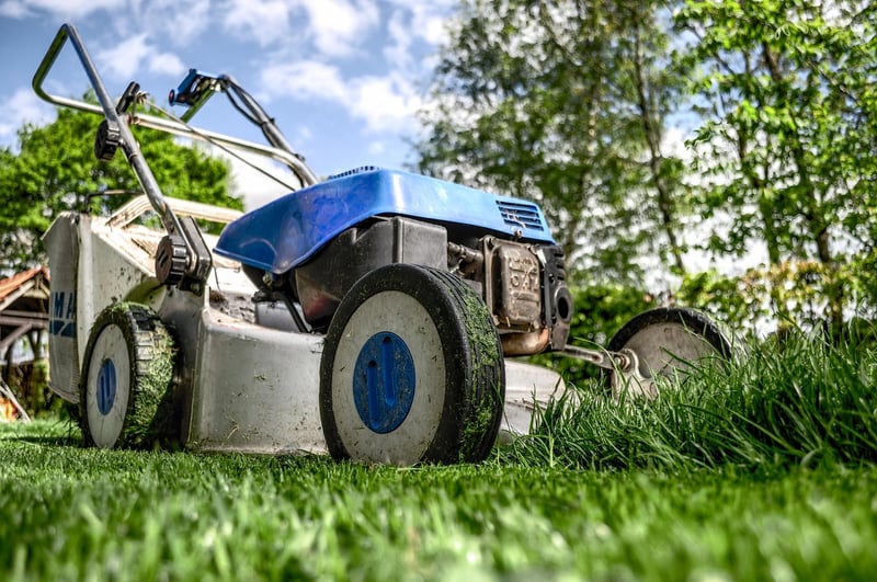 Small Yard Hacks